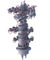 Puits moyen de pétrole thermique assemblé d&amp;#39;équipement de tête de puits de forage pétrolier fournisseur
